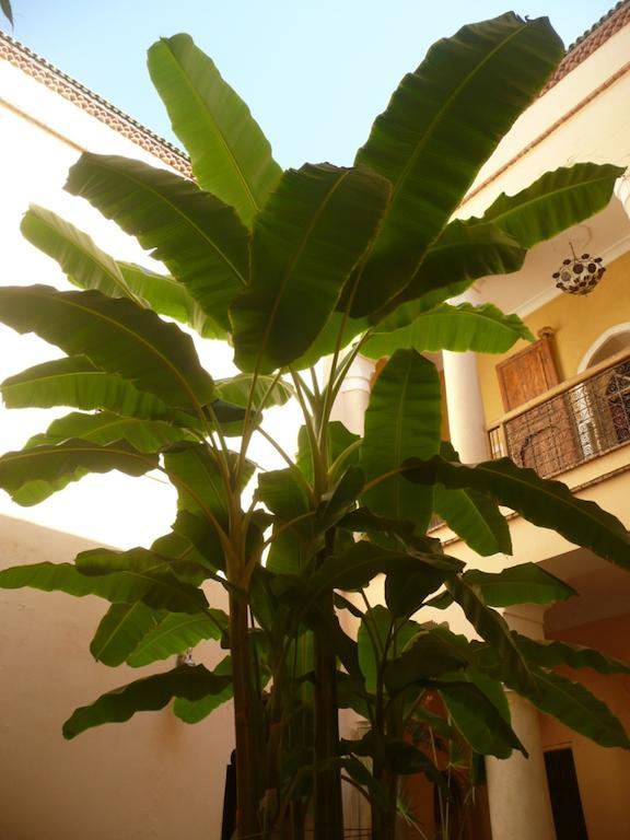 Riad Ker Saada Marrakesh Bagian luar foto